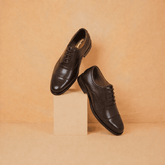 EMPEROR Oxford - Brown