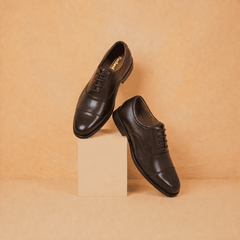 EMPEROR Oxford - Brown